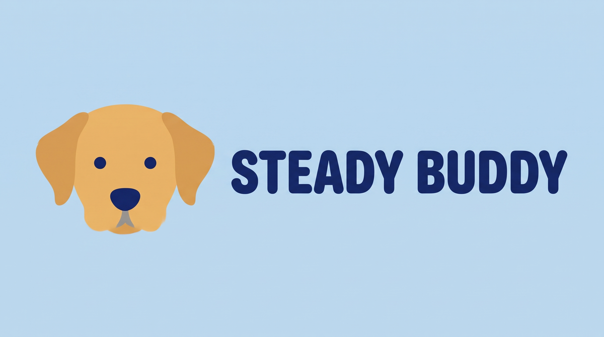 Steady Buddy 